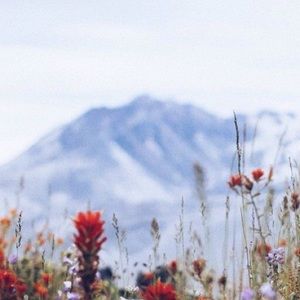 Meet your Posher, Christa